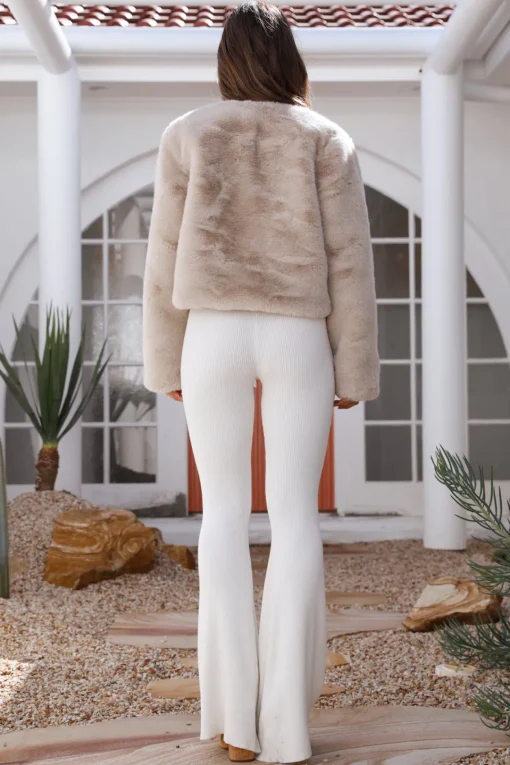 Day By Day Faux Fur Cropped Jacket Beige