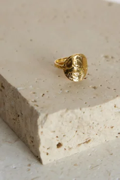 18k Gold Plated All In Ring gold