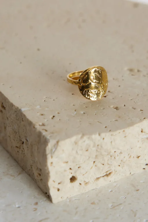 18k Gold Plated All In Ring gold